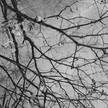 巴菲特超级收益率靠的是持续价值投资 新闻