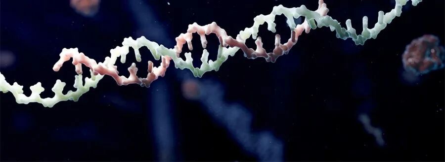  全球10多款寡核苷酸在研新药迈入3期临床！这些罕见病患者有望迎新曙光 新闻 全球10多款寡核苷酸在研新药迈入3期临床！这些罕见病患者有望迎新曙光 新闻