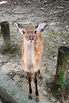  金融活水持续注入；西部陆海新通道加速畅通。 股票财经 金融活水持续注入；西部陆海新通道加速畅通。 股票财经