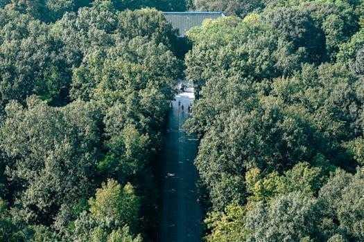  异地陪护难题引关注；柴伟创办善佑爱心屋；从个人经历到社会接力 情感心理