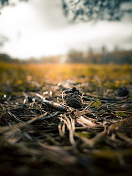  产业链多环节承压，半导体市场迎来显著调整周期 IT技术 产业链多环节承压，半导体市场迎来显著调整周期 IT技术 产业链多环节承压，半导体市场迎来显著调整周期 IT技术