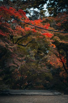  中南文化布局能源领域重大动作；格林美深化关键矿产合作；多家公司发布重要公告 股票财经 中南文化布局能源领域重大动作；格林美深化关键矿产合作；多家公司发布重要公告 股票财经