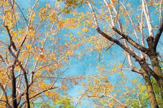  年轻一代驱动下；非洲创意领域展现巨大商业价值与就业潜力。 文化旅游