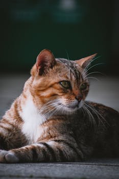  广合科技启动H股招股；专注算力PCB领域迎来新机遇。 股票财经 广合科技启动H股招股；专注算力PCB领域迎来新机遇。 股票财经 广合科技启动H股招股；专注算力PCB领域迎来新机遇。 股票财经