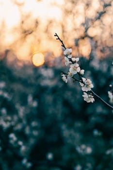  中国家电巨头美的：全产业链出海，构建海外第二主场。 IT技术 中国家电巨头美的：全产业链出海，构建海外第二主场。 IT技术 中国家电巨头美的：全产业链出海，构建海外第二主场。 IT技术