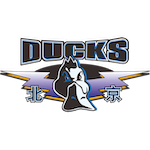  赛场迷局：京粤大战背后的隐秘逻辑与胜负真谛 体育新闻