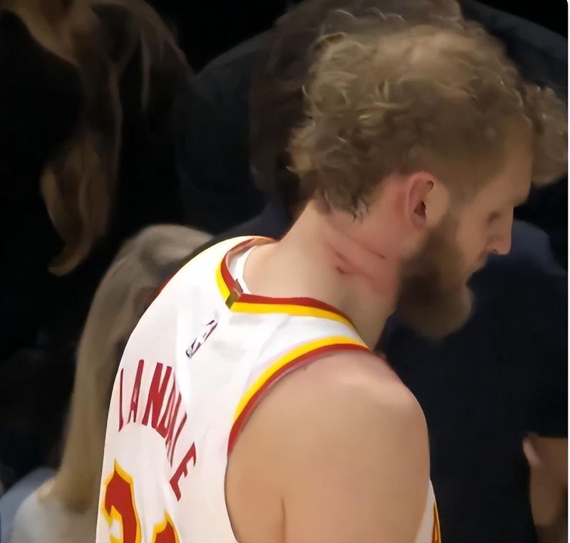  底薪悍将的涅槃重塑：空间型中锋兰代尔的战术进化之路 体育新闻