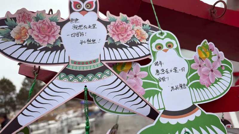  清明祭扫避堵指南｜错峰出行与文明寄思的实操经验分享 情感心理