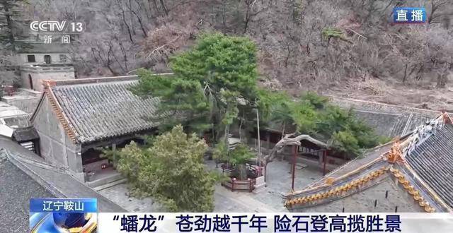  千万级客流背后的自然奇观：揭秘千山春日生态与地质奥秘 文化旅游