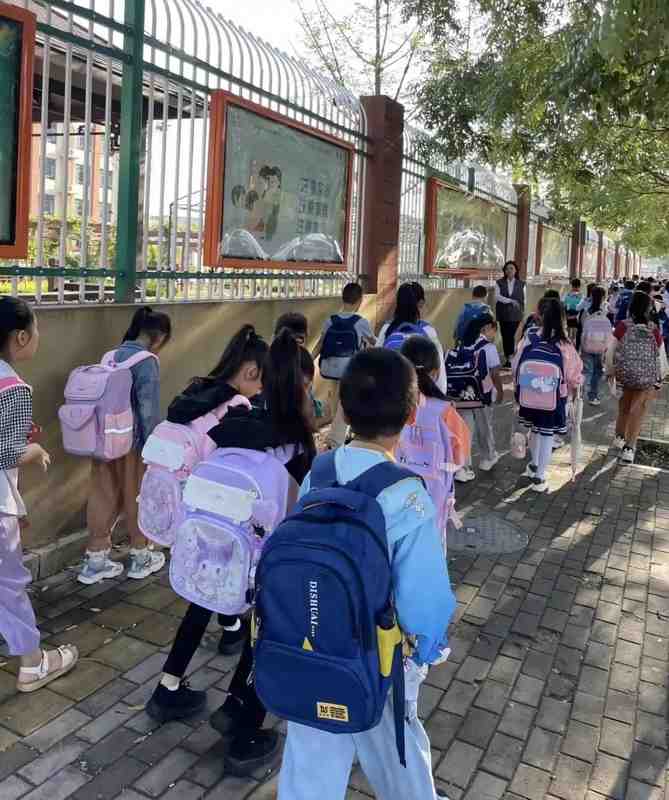  深度解析：2026教育收费改革的底层逻辑与家庭应对策略 教育招生