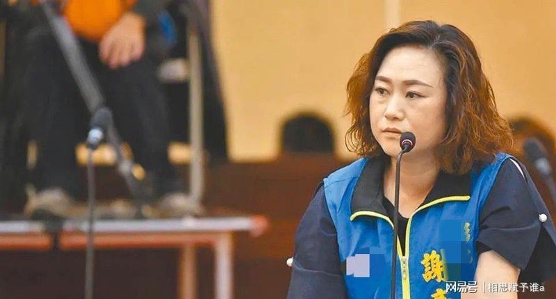  一场辞职引发的政治海啸：彰化蓝营提名风波背后的真实故事 新闻