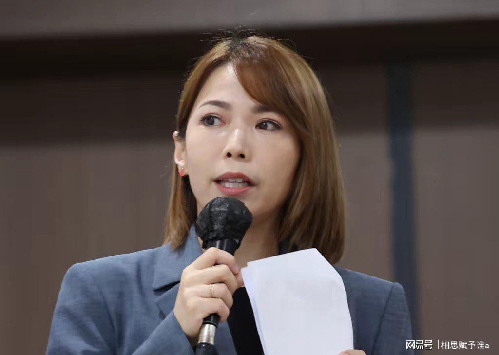  一场辞职引发的政治海啸：彰化蓝营提名风波背后的真实故事 新闻