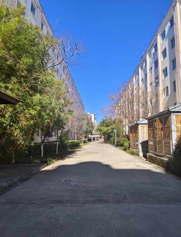 【深度测评】嵩明县保障性住房全域布局:7573套房源背后的运营逻辑与品质标准 房产家居