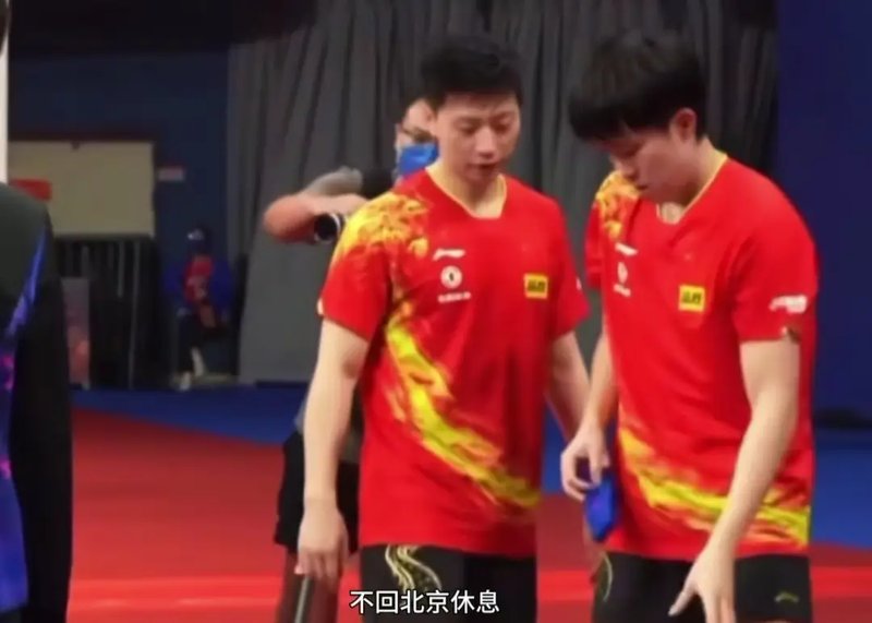 技术解码:马龙许昕回归背后的战术逻辑与国乒梯队危机 体育新闻