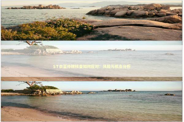 ST京蓝停牌核查如何应对：风险与机会分析 新闻