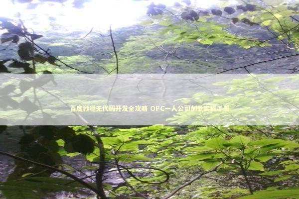 百度秒哒无代码开发全攻略 OPC一人公司创业实操手册 新闻