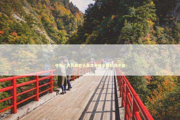 中东三大民航巨头集体停航全球航线冲击 新闻