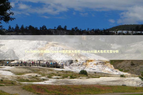 TechWeb微晚报OpenAI遭遇最大危机-OpenAI最大危机完整分析
