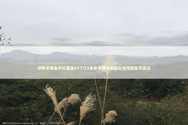 伊朗导弹击中比亚迪ATTO3车身受损但未起火电池安全引关注 新闻