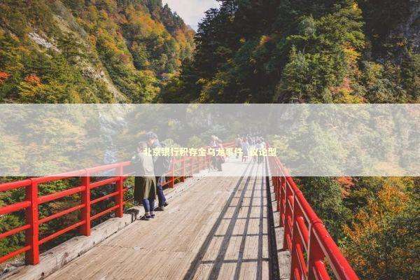 北京银行积存金乌龙事件_议论型 新闻