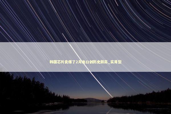 韩国芯片卖爆了2月出口创历史新高_实用型 新闻