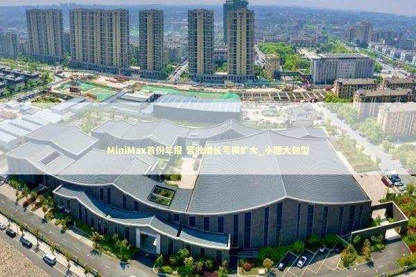 MiniMax首份年报 营收增长亏损扩大_小题大做型 新闻