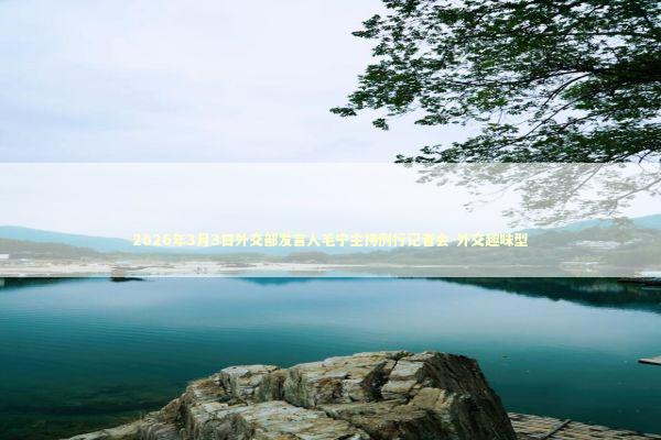 2026年3月3日外交部发言人毛宁主持例行记者会-外交趣味型 新闻