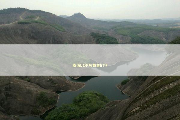 原油LOF与黄金ETF