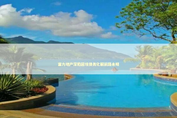 富力地产深陷困境债务化解前路未明 新闻