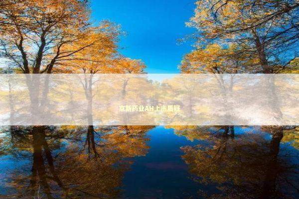 京新药业AH上市质疑