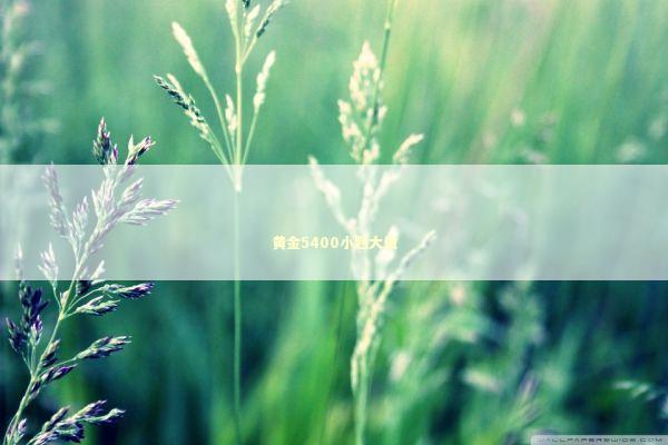 黄金5400小题大做