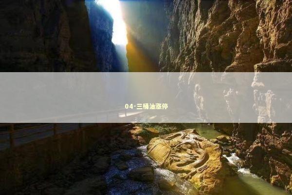 04-三桶油涨停 新闻