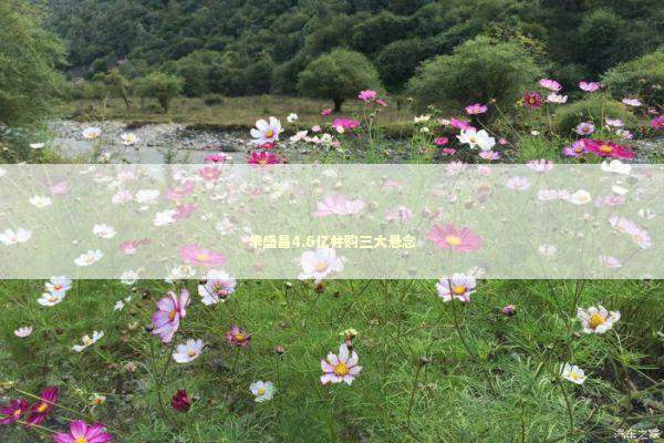 华盛昌4.6亿并购三大悬念 新闻