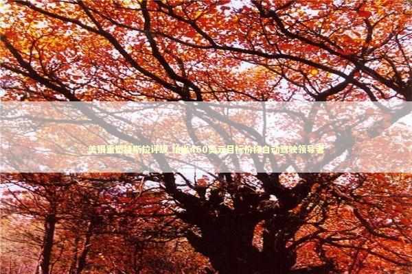 美银重塑特斯拉评级 给出460美元目标价称自动驾驶领导者 新闻