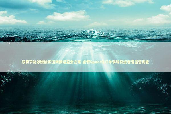 双良节能涉嫌信披违规被证监会立案 虚假SpaceX订单误导投资者引监管调查 新闻