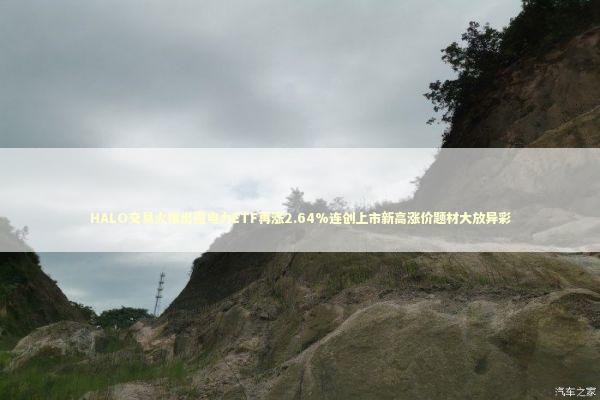 HALO交易火爆出圈电力ETF再涨2.64%连创上市新高涨价题材大放异彩