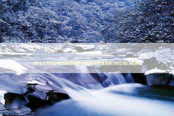 A股史上首次三桶油集体涨停 中国石油市值突破2万亿创11年新高 新闻