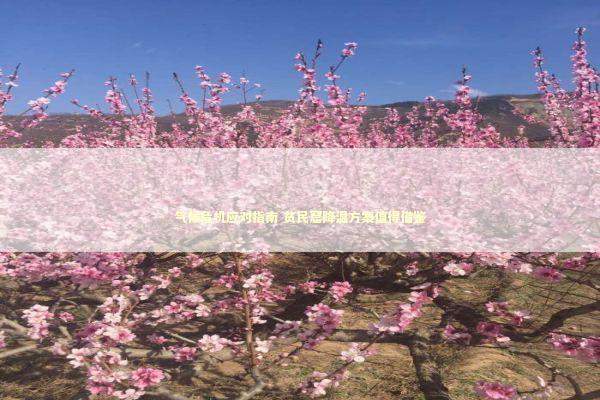 气候危机应对指南 贫民窟降温方案值得借鉴 新闻