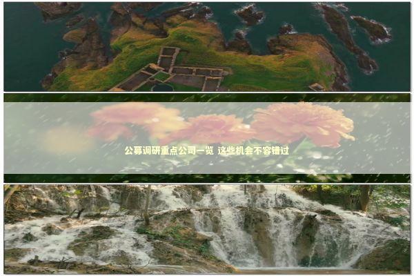 公募调研重点公司一览 这些机会不容错过 新闻