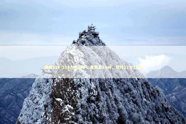 雷霆116-108力克公牛，麦凯恩20分，切特12分11板 新闻