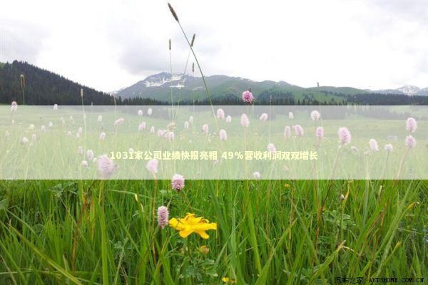 1031家公司业绩快报亮相 49%营收利润双双增长 新闻