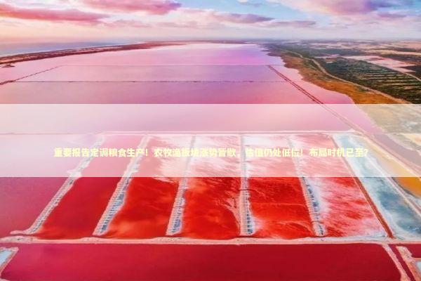 重要报告定调粮食生产！农牧渔板块涨势暂歇，估值仍处低位！布局时机已至？ 新闻