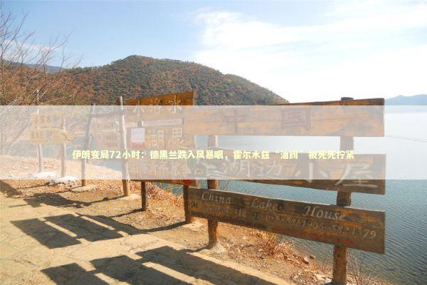 伊朗变局72小时：德黑兰跌入风暴眼，霍尔木兹“油阀”被死死拧紧 新闻