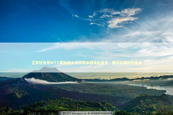 王楚钦加冕WTT新加坡大满贯男单冠军的背后：国乒的隐忧与未来 新闻