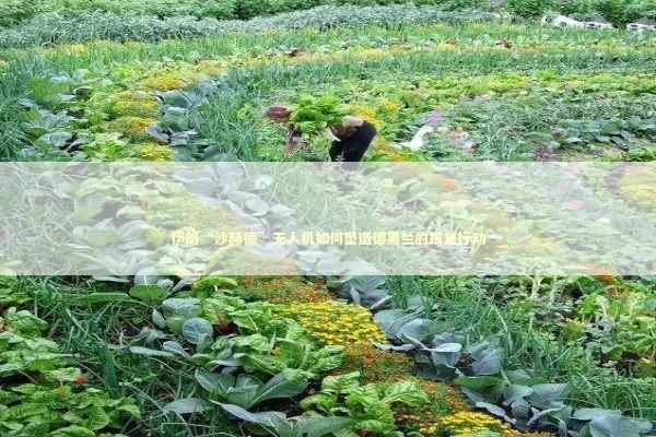 伊朗“沙赫德”无人机如何塑造德黑兰的报复行动 新闻