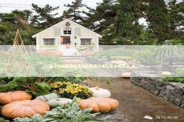 险企护航商业航天奔赴星辰大海引发市场关注_6 新闻