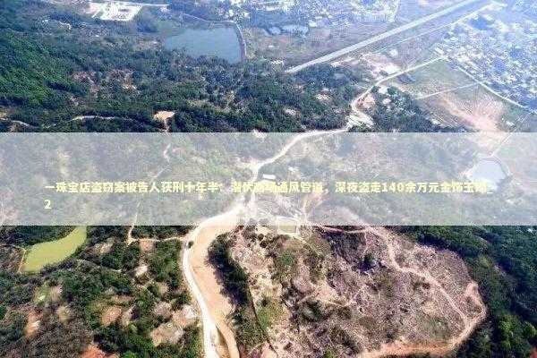 一珠宝店盗窃案被告人获刑十年半：潜伏商场通风管道，深夜盗走140余万元金饰玉镯_2 新闻