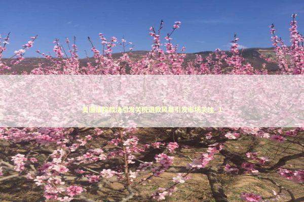 美国法院裁决引发关税退款风暴引发市场关注_1 新闻