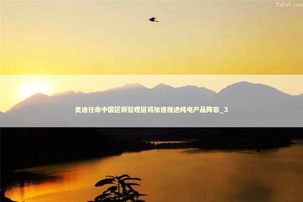 奥迪任命中国区新管理层将加速推进纯电产品阵容_3 新闻