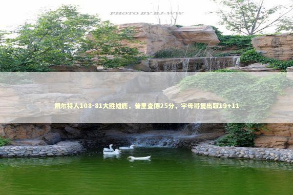 凯尔特人108-81大胜雄鹿，普里查德25分，字母哥复出取19+11 新闻